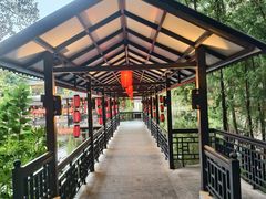 -侨美·唐荔园·40年地道粤菜