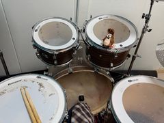 -大象音乐·吉他·架子鼓·声乐(双井店)