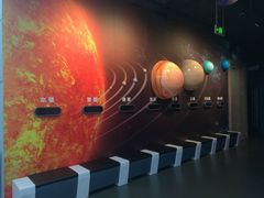 -中国宋庆龄青少年科技文化交流中心