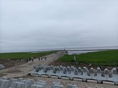 -南汇嘴观海公园