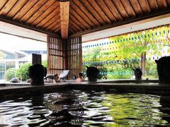 -中家鑫园温泉酒店鑫悦汤泉