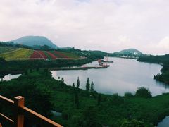 景点-东部华侨城