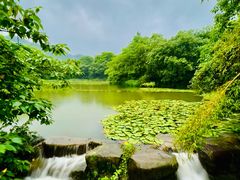 -中国茶叶博物馆(双峰馆区)