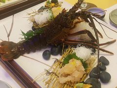 -活伊势龙虾料理 中纳言(千日前味乐馆店)