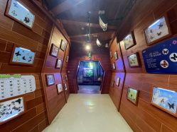 -酷嗒动物文化乐园(cutezoo西溪乐天城店)