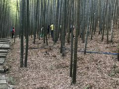 -广州市石门国家森林公园
