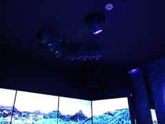 -纯K(打浦桥店)