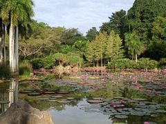 -中国科学院西双版纳热带植物园