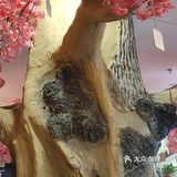 服务也不错，服务员也会帮忙烤，告知怎么烤
