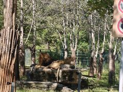 -秦皇岛野生动物园