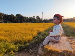 -光明小镇欢乐田园