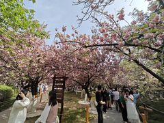 -上海青龙寺