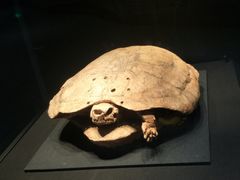 -呼伦贝尔民族博物馆