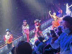 -珠海横琴长隆《卡卡虎奇遇记》