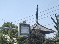 -奈良公园