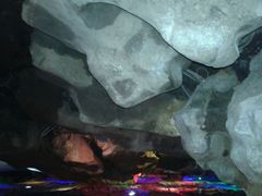 android_upload_pic-林屋洞景区