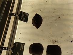 -法桐蛋糕·手作面包(万象城店)