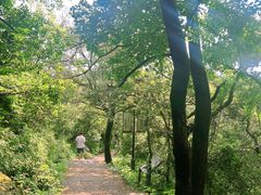 -杭州半山国家森林公园