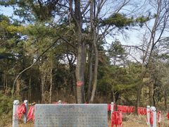 -高尔山公园