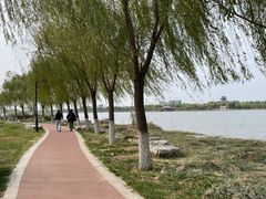 -水西公园