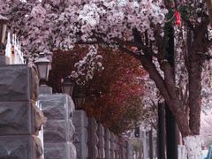 -天津五大道文化旅游区