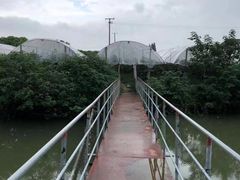 -马陆小张葡萄园农家乐