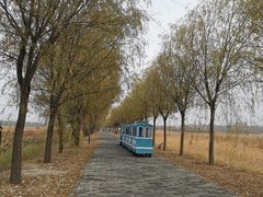 -野鸭湖国家湿地公园