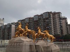 -骏景花园