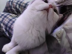 -极木²邸 人与宠物·互动社区