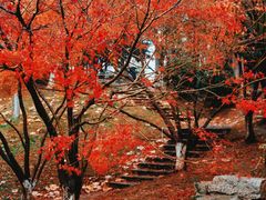 -月湖风景区