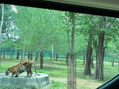 -秦皇岛野生动物园