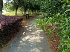 -白塘生态植物园