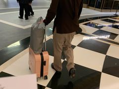 -澳门喜来登大酒店