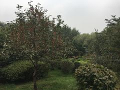 -长白岛森林公园