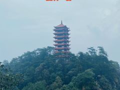 -缙云山景区