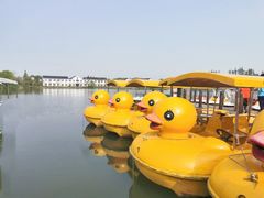 -上海长兴岛郊野公园