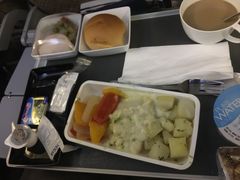 -新加坡航空公司(ION)