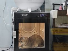 -中农大我爱我爱动物医院·核磁CT·猫病·24小时夜诊中心(石佛营店)