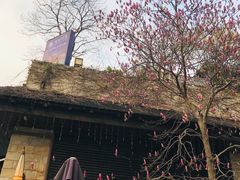 -证大大拇指广场(芳甸路店)