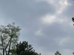 -太阳宫公园