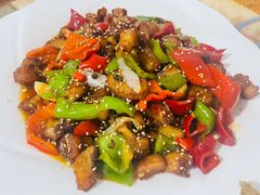 -煲来饱去冷水鱼