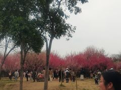 -蜀冈西峰生态公园