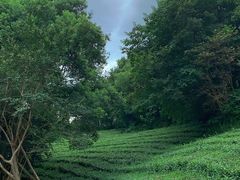 -敬亭山风景名胜区