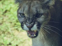 -杭州野生动物世界