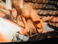 -幸福蓝海国际影城(苏州凤凰店)