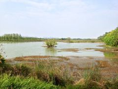upload_pic-艾溪湖湿地公园