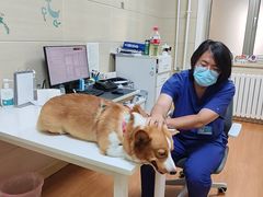 -北京观赏动物医院·24小时大型综合·猫专科·异宠专科