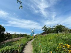 -铁山坪森林公园