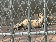 -西安秦岭野生动物园