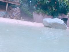 -鱼凫国都大酒店温泉